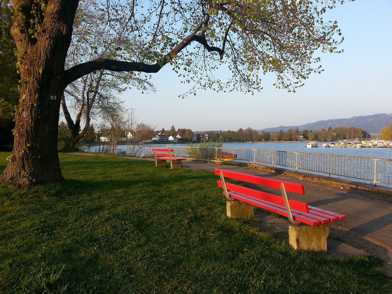 甚至为其他 甚至为其他