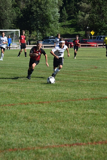 体育文化的 体育文化的